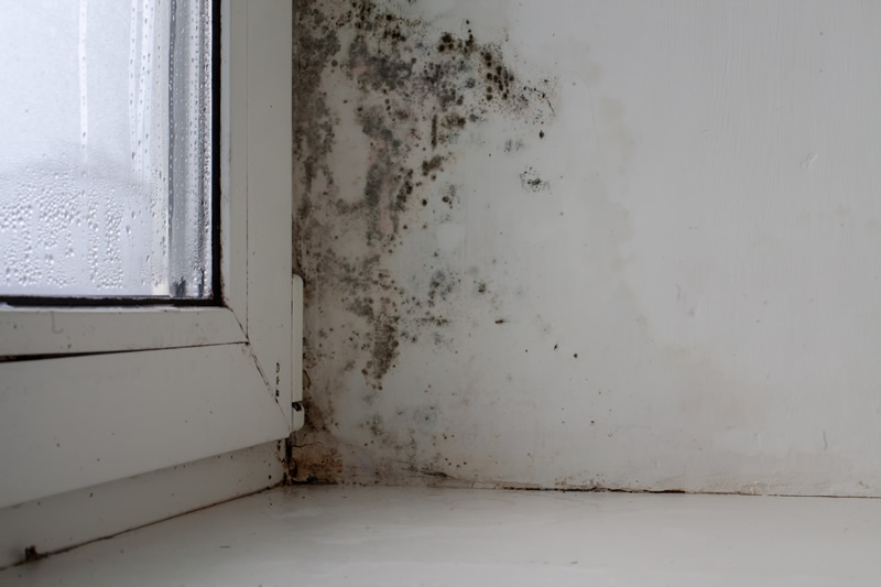 Menuiseries défaillantes